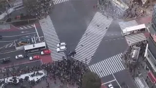 The view of SHIBUYA CROSSING from the SHIBUYA SKY | Japan Vlogs