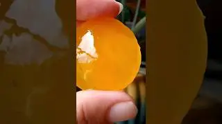 Salt Cured Egg Yolks 🤩 #yummy  #foodpreservation