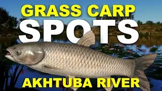 Russian Fishing 4 Grass Carp SPOTS Akhtuba River