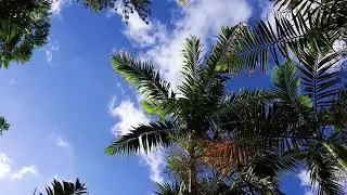 🔴WONDER PLACES OF BRAZIL BEST PLACES IN  BRAZIL RIO DE JANERIO BEAUTY brazil वंडर प्लेसीस All Videoz