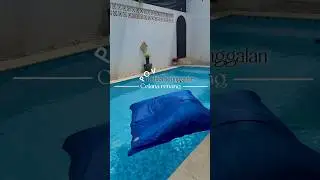 Paksain Aja! #funny #lifestyle #viral #suamiistri #hiburan #fyp