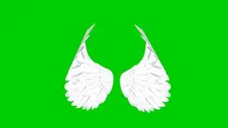 Pari ka pankh! Green screen video! No copyright!