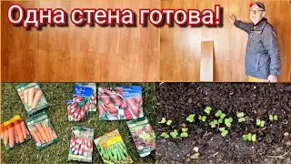 Дача..ремонт  продолжается )) что можно высаживать  в марте.?