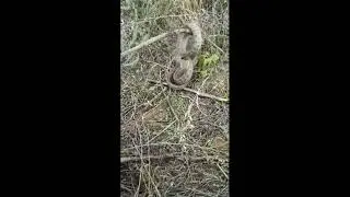 Рыбалка - опасное соседство