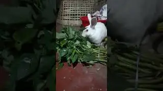 #Sweet