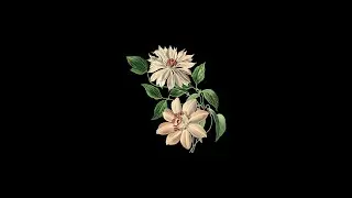 [FREE] Phora Type Beat 