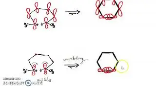 FMO approach to Triene System