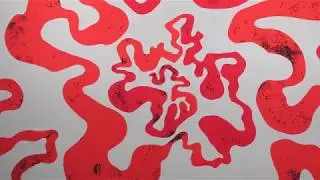 "Irma's Gator clouds" by Gustavo Oviedo