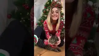 CREO un MAGLIONE NATALIZIO per CANI e GATTI🐶🎄🙀 