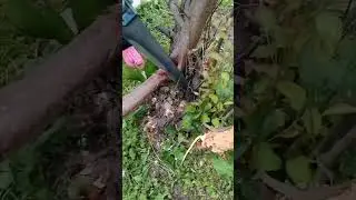 19 июня 2024 г. Подружка