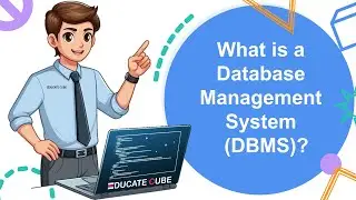 What is a Database Management System (DBMS)?