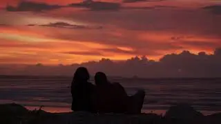 Fosils - Canon 700D Raw HD (Cinematic)