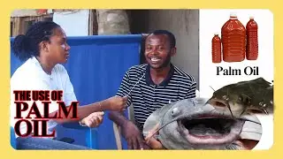 Wow😱😱,How I used palm oil to boost my catfish business....