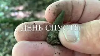 НАХОДКИ РАЗНЫХ ЭПОХ ФИЛЬМ ПЯТЫЙ