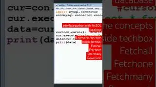 How to interface python with MySQL Database | 