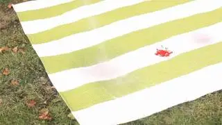 Keep It Clean: How to Clean an Indoor/Outdoor Rug