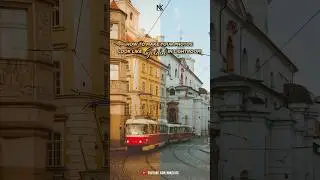 Make your Photos look like Golden Hour in Lightroom✨#photoediting #lightroom #shorts #viral #preset