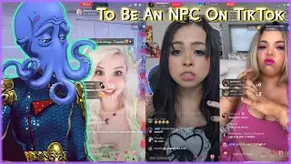 THE NPC TIKTOK 