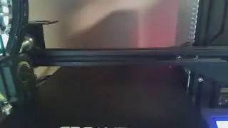 Live Print Stream
