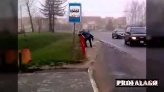 видео-приколы