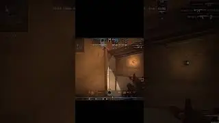 Я сошел с ума🤕