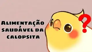 alimentação das calopsitas (oque pode e não pode)