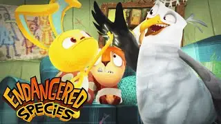 NEW! Pickle Says... Relax! | Endangered Species - WildBrain | Full Episodes for Kids