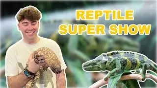 California's *BIGGEST* Reptile Show! (Pomona Reptile Super Show - January 2022)