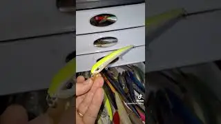 molix audace #pesca #fishing #molix