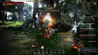 BDO, Ronaros pot piece