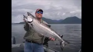 Kevin's King Salmon Mount