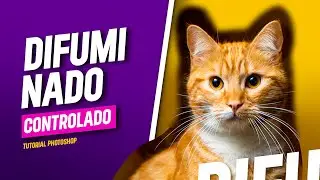 Cómo Hacer Selecciones con Bordes Difuminados en Adobe Photoshop | Tutorial Paso a Paso
