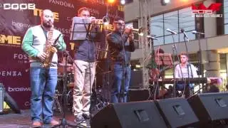 Musicology Band (MMF 2016)