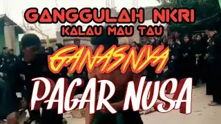 Kalau mau lihat ganasnya pagar nusa maka ganggulah NKRI