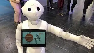 Pepper Humanoid Robot at the HMI 2018