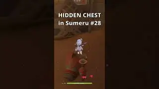 HIDDEN CHEST you might have missed in Sumeru #28 | Genshin Impact 