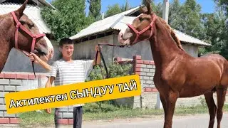 4 августа 2021 г.