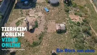 Tierheim Koblenz ~~~Ein Blick von oben!!