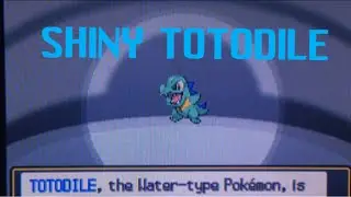 46 - LIVE REACTION SHINY TOTODILE!!! (9 Month Hunt Finally Over!)