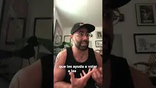 Las aves son dinosaurios