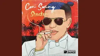 Con Swing