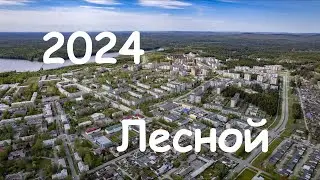 Лесной лето 2024