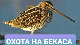 20 сентября 2023 г.