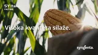 SY Itaka
