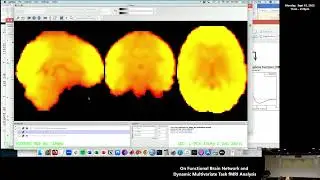 Dynamic multivariate task fMRI analysis using Partial Least Squares in Matlab