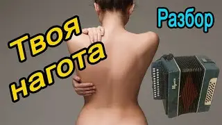 Твоя нагота 💋💋💋  //   Разбор на гармони