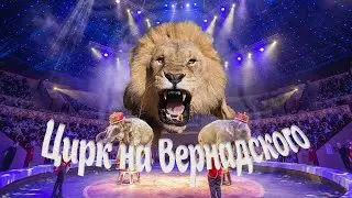 Цирк на Вернадского