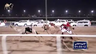 الشوط الثاني: قعدان مشتركات: نجم لـ خالد عبدالله خميس - التوقيت:  2.12.23
