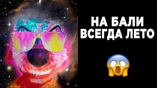 Когда узнал что: