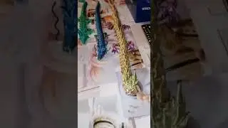 Мои драконы
